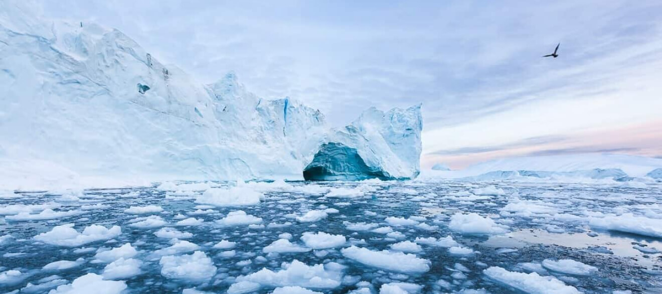 Гренландский кризис: экономический взгляд